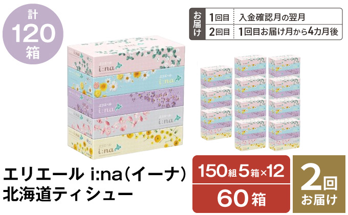 【2回お届け 計120箱】エリエール i:na (イーナ) 北海道 ティシュー 150組5箱 12パック ティッシュペーパー 箱ティッシュ まとめ買い 防災 常備品 備蓄品 消耗品 日用品 生活必需品 送料無料 赤平市 福祉用品 雑貨