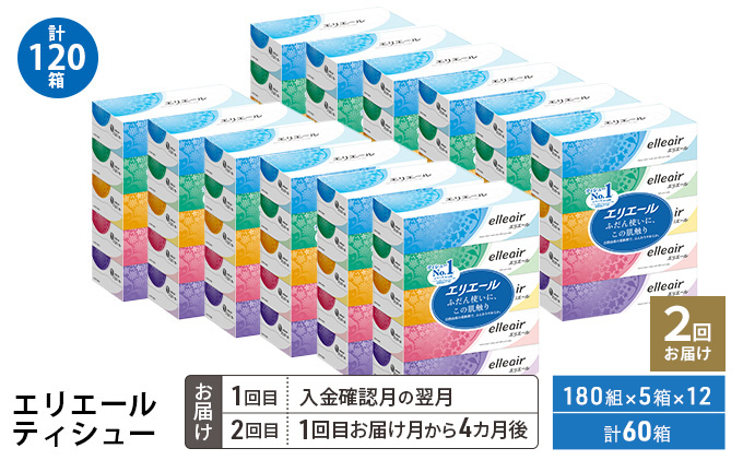 【2回お届け 計120箱】エリエール ティシュー 180組5箱 12パック ティッシュペーパー 箱ティッシュ ボックスティッシュ 紙 まとめ買い 防災 常備品 備蓄品 消耗品 日用品 生活必需品 送料無料 赤平市 ストック
