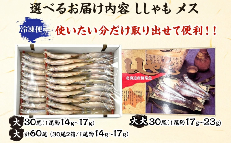 北海道産ししゃもメス大30尾 北海道 稀少 魚シシャモ メス おつまみ 魚貝類 干物 本物 人気 希少 塩 味付け 脂のり 旨み 美味しい 大きい 