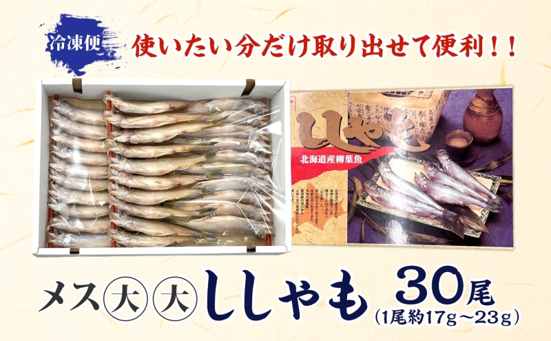 北海道産ししゃもメス大大30尾 北海道 稀少 魚シシャモ メス おつまみ 魚貝類 干物 本物 人気 希少 塩 味付け 脂のり 旨み 美味しい 大きい 