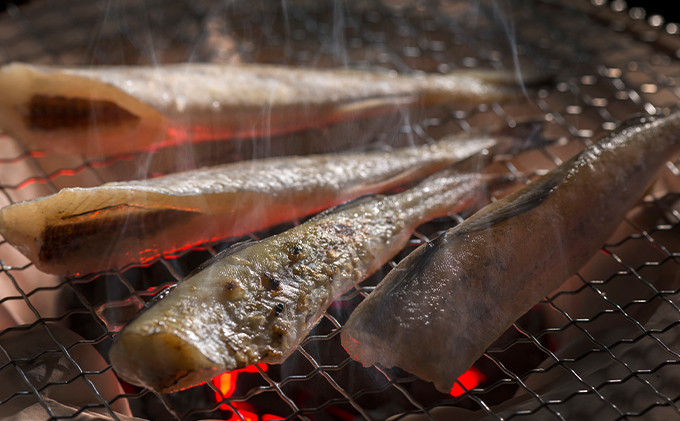 北海道産こまい干し 約1kg(500g×2) 化粧箱入 氷下魚 干し魚 おかず おつまみ 揚げ物 魚貝類 干物 タラ科漁獲急速冷凍塩 味付け 