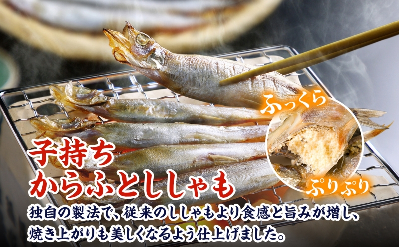 蟄先戟縺。縺九i縺オ縺ィ縺励@繧繧 邏1.6kg(800gテ2) 讓コ螟ェ 鬲壹す繧キ繝」繝「 繝。繧ケ 縺翫▽縺セ縺ソ 鬲夊イ晞。 蟷イ迚ゥ 驥剰イゥ蠎 螻驟貞ア 鬥エ譟薙∩ 莠コ豌 蜊オ 隧ー縺セ縺」縺 蝪ゥ 蜻ウ莉倥¢