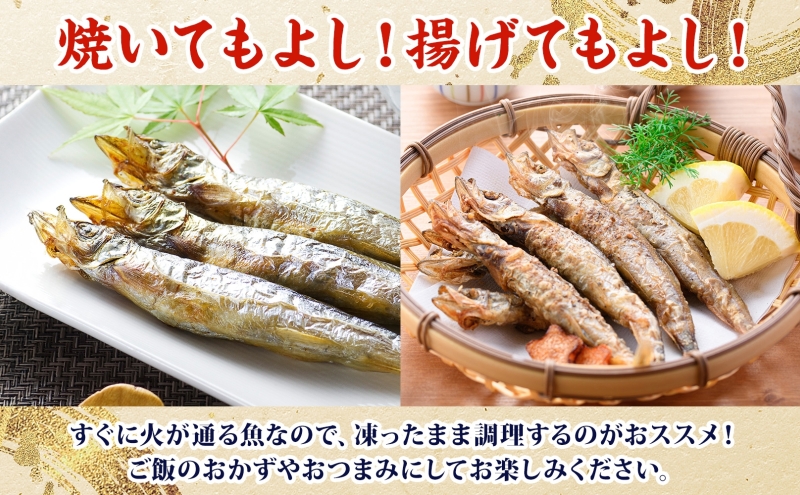 蟄先戟縺。縺九i縺オ縺ィ縺励@繧繧 邏1.6kg(800gテ2) 讓コ螟ェ 鬲壹す繧キ繝」繝「 繝。繧ケ 縺翫▽縺セ縺ソ 鬲夊イ晞。 蟷イ迚ゥ 驥剰イゥ蠎 螻驟貞ア 鬥エ譟薙∩ 莠コ豌 蜊オ 隧ー縺セ縺」縺 蝪ゥ 蜻ウ莉倥¢
