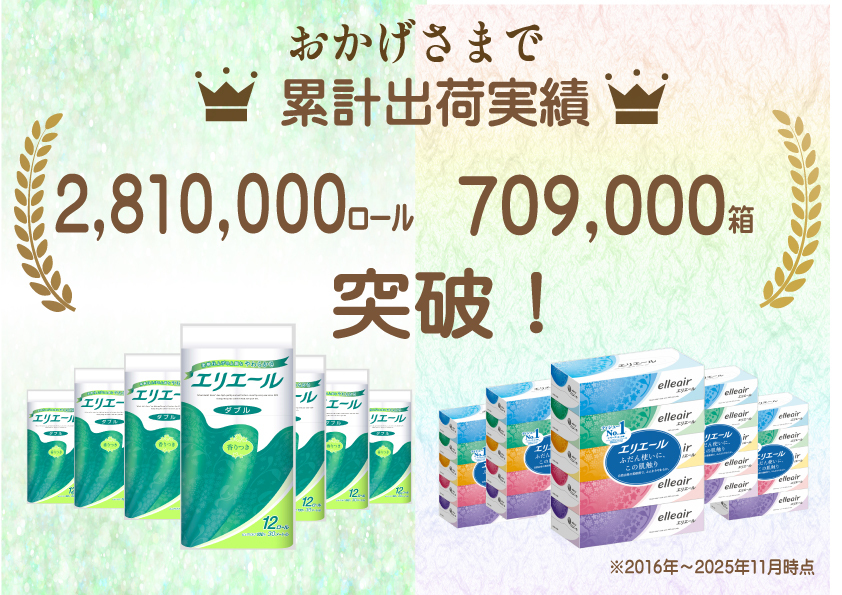 定期便 2ヵ月連続お届け エリエール 収納に便利 コンパクト 〈アソート〉 トイレットペーパー ティッシュ トイレ ボックスティッシュ まとめ買い ペーパー ひとり暮らし 紙 常備品 消耗品 日用品 生活必需品 定番 