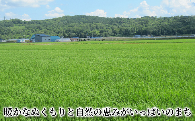 北海道 赤平市産 お米 食べ比べ セット（ギフト用) 計6kg(ゆめぴりか・ななつぼし・きたくりん各2kg)  精米 米 北海道米                               