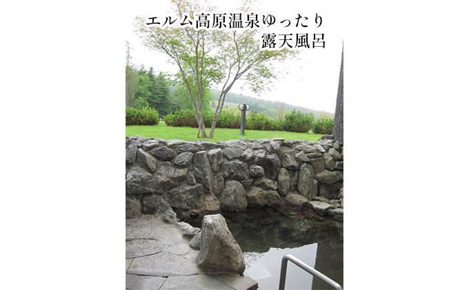 エルム高原リゾート コテージ宿泊券（日帰り温泉入浴券付き） チケット 温泉利用券 