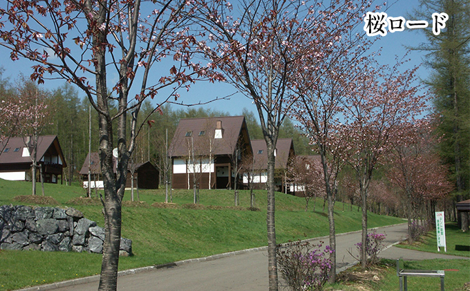 エルム高原リゾート コテージ宿泊券（日帰り温泉入浴券付き） チケット 温泉利用券 