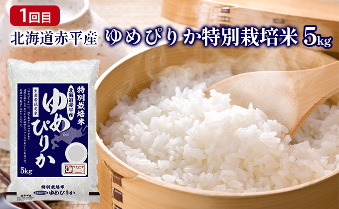 赤平市ふるさと定期便　Fセット　※5カ月連続お届け テーブルマーク 牛肉 お米 ゆめぴりか 特別栽培 ジンギスカン ラム コロッケ アイスクリーム ホルモン 牛カルビ 牛ハラミ 