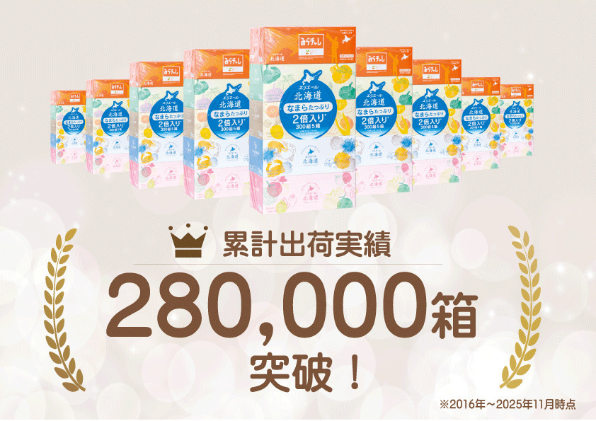定期便 2ヵ月連続お届け エリエール 収納に便利 コンパクト [アソートI] なまらたっぷり 大容量 トイレットペーパー ティッシュ トイレ ボックスティッシュ 防災 ひとり暮らし 紙 常備品 備蓄品 消耗品 日用品 生活必需品 送料無料 赤平市