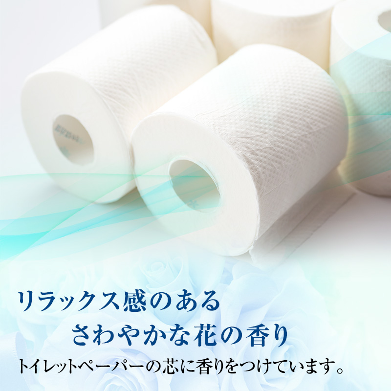 エリエール トイレットティシュー ボックスティシュー  2品別配送 セットA トイレットペーパー ティッシュ トイレ まとめ買い 防災 常備品 備蓄品 消耗品 備蓄 日用品 生活必需品 送料無料 北海道 赤平市