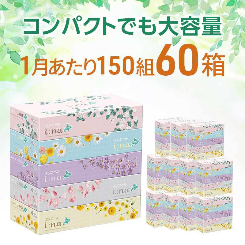 2ヵ月連続お届け 計120箱 エリエール i:na (イーナ) 北海道 ティシュー 150組5箱 12パック ティッシュペーパー 箱ティッシュ まとめ買い 防災 常備品 備蓄品 消耗品 日用品 生活必需品 送料無料 赤平市