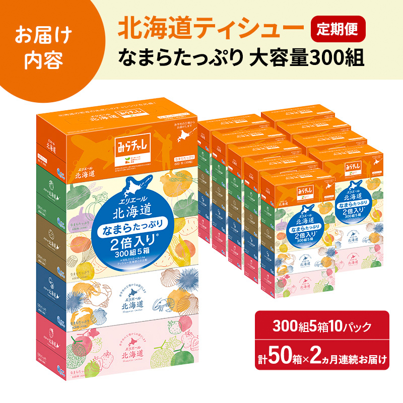 2ヵ月連続お届け 計100箱 エリエール 北海道 ティシュー なまらたっぷり 300組5箱 10パック 大容量 まとめ買い 防災 常備品 備蓄品 消耗品 日用品 生活必需品 送料無料 赤平市