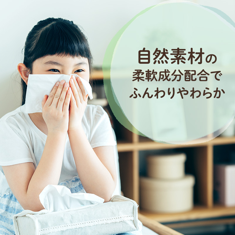 【2ヵ月連続お届け・計100箱】エリエール 北海道 ティシュー なまらたっぷり 300組5箱 10パック 大容量 まとめ買い 防災 常備品 備蓄品 消耗品 日用品 生活必需品 赤平市