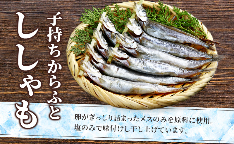 赤平市 ふるさと 定期便 岡田水産 おつまみ満喫セット 3カ月連続お届け　おかず おつまみ 揚げ物 魚貝類 干物 加工食品