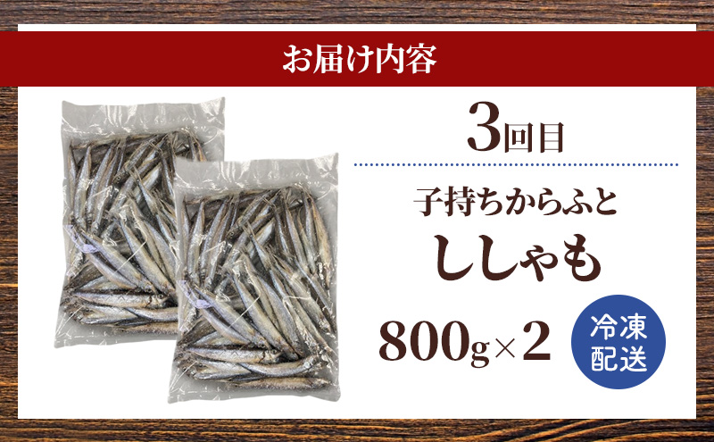 赤平市 ふるさと 定期便 岡田水産 おつまみ満喫セット 3カ月連続お届け　おかず おつまみ 揚げ物 魚貝類 干物 加工食品