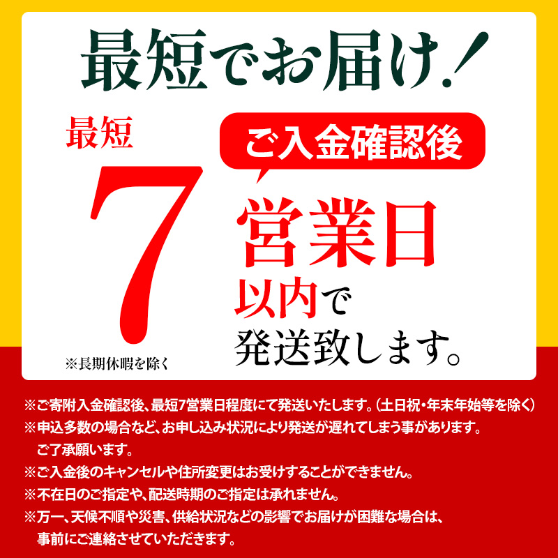 スーツケース 最短 7日以内配送 Brush 北海道 カラーパレット ハード 95L LARGE_5801477 蝦夷梅雨グレー キャリーケース 旅 キャリー かばん バッグ 国産 日本製 北海道 赤平市