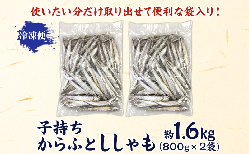 蟄先戟縺。縺九i縺オ縺ィ縺励@繧繧 邏1.6kg(800gテ2) 讓コ螟ェ 鬲壹す繧キ繝」繝「 繝。繧ケ 縺翫▽縺セ縺ソ 鬲夊イ晞。 蟷イ迚ゥ 驥剰イゥ蠎 螻驟貞ア 鬥エ譟薙∩ 莠コ豌 蜊オ 隧ー縺セ縺」縺 蝪ゥ 蜻ウ莉倥¢