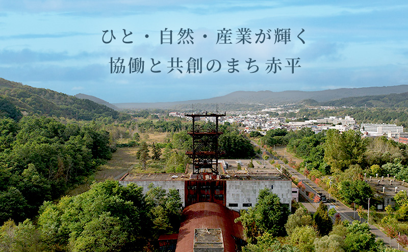 たきもとの牛ハラミ（サガリ）250g×2袋　焼肉 バーベキュー BBQ 牛 牛肉 ハラミ サガリ 冷凍 アウトドア タレ 味付け 北海道 ふるさと納税