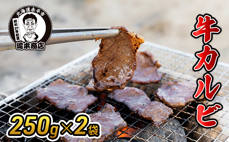 たきもとの牛カルビ250g×2袋 焼肉 バーベキュー BBQ 牛 牛肉 カルビ 冷凍 アウトドア タレ 味付け 北海道 ふるさと納税