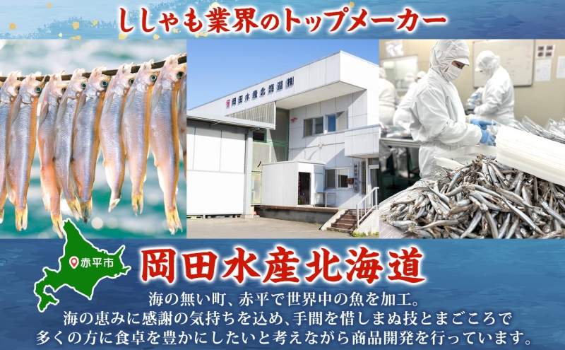 ソフトタイプ鮭とば「北海道産 鮭燻ソフト」400g(200g×2袋)  加工食品 魚貝類 海鮮食品 とば 鮭 サーモン 晩酌 おつまみ つまみ アテ 酒の肴 おやつ 乾き物 珍味 北海道 赤平市