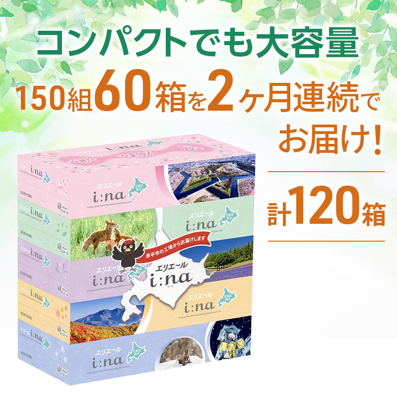 【2ヵ月連続お届け・計120箱】エリエール i:na (イーナ) 北海道 ティシュー 150組5箱 12パック フィルムレス ふるさと納税限定デザイン イーナ ボックスティシュー 箱ティッシュ ペーパー 備蓄品 花粉 赤平市