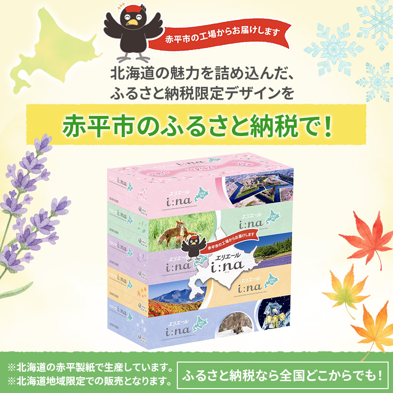 【2ヵ月連続お届け・計120箱】エリエール i:na (イーナ) 北海道 ティシュー 150組5箱 12パック フィルムレス ふるさと納税限定デザイン イーナ ボックスティシュー 箱ティッシュ ペーパー 備蓄品 花粉 赤平市