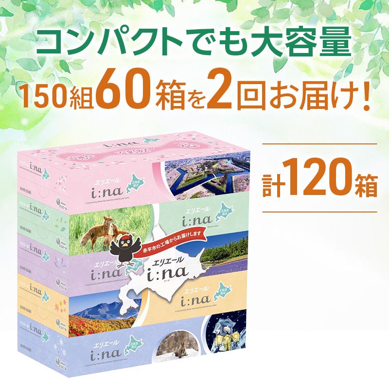 【2回お届け 計120箱】エリエール i:na (イーナ) 北海道 ティシュー 150組5箱 12パック フィルムレス ふるさと納税限定デザイン イーナ ボックスティシュー 箱ティッシュ ペーパー 備蓄品 花粉 赤平市