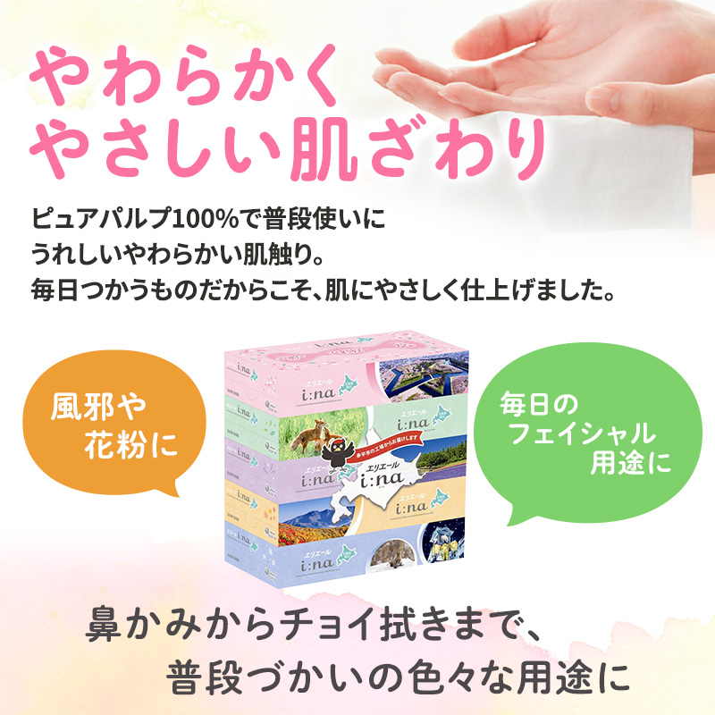 【2回お届け 計120箱】エリエール i:na (イーナ) 北海道 ティシュー 150組5箱 12パック フィルムレス ふるさと納税限定デザイン イーナ ボックスティシュー 箱ティッシュ ペーパー 備蓄品 花粉 赤平市