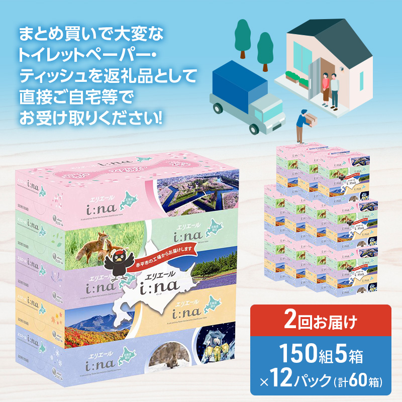 【2回お届け 計120箱】エリエール i:na (イーナ) 北海道 ティシュー 150組5箱 12パック フィルムレス ふるさと納税限定デザイン イーナ ボックスティシュー 箱ティッシュ ペーパー 備蓄品 花粉 赤平市