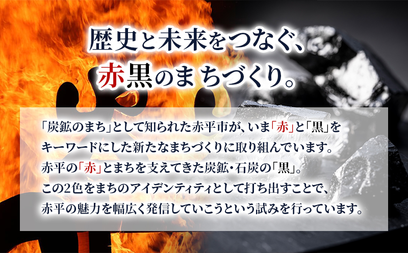 北海道 赤平市 寄附のみの応援受付 40,000円コース（返礼品なし 寄附のみ 40000円）