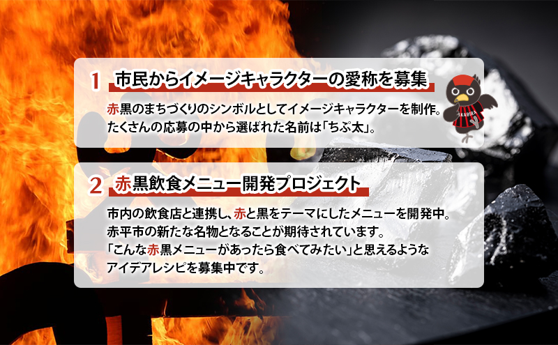 北海道 赤平市 寄附のみの応援受付 40,000円コース（返礼品なし 寄附のみ 40000円）