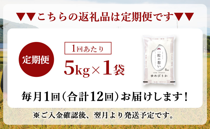 令和7年産 北海道 赤平産 ゆめぴりか 5kg 【限定寄附額】 12ヵ月連続お届け 白米 精米 米 北海道 ごはん ご飯 ライス おにぎり 定期便 定期 お楽しみ 12回