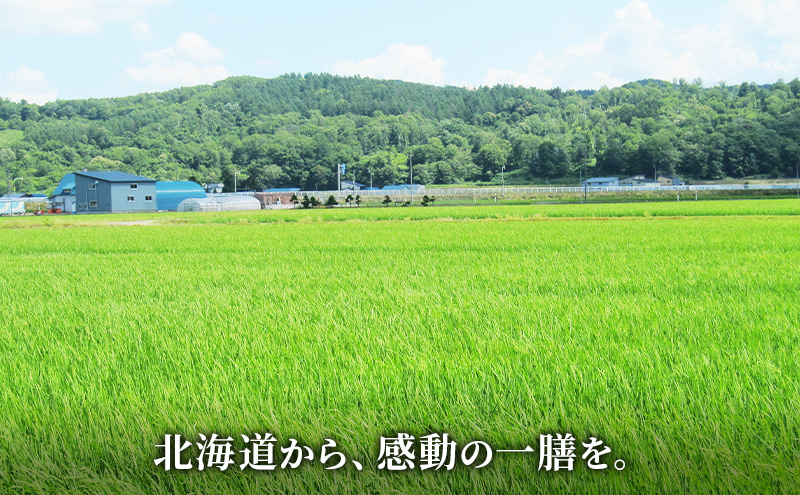 北海道産 ゆめぴりか5kg【3回お届け】米 生産者応援！ 寄附額改定↓ 空知エリア限定米 精米 北海道米 お米 北海道 赤平市