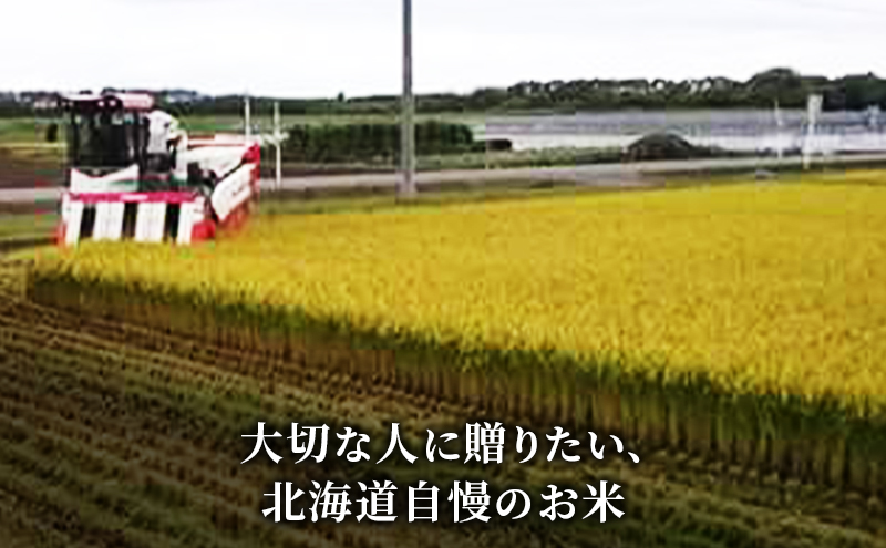 北海道産 ゆめぴりか10kg (5kg×2袋)【3回お届け】米 生産者応援！ 寄附額改定↓ 空知エリア限定米 精米 北海道米 お米 北海道 赤平市
