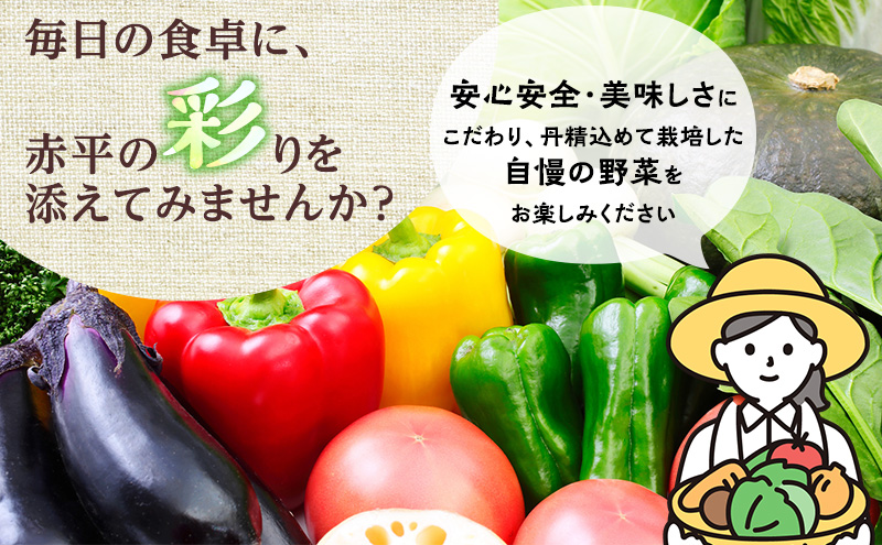 皆菜久留直売所厳選　旬の野菜の詰めあわせ［4～6種類］※8月下旬より順次出荷 産地直送 旬 野菜 セット 詰合せ イモ じゃがいも