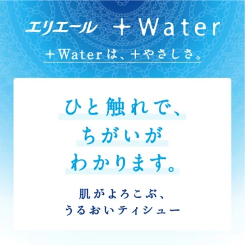 ã2ãµæé£ç¶ãå±ãã ãšãªãšãŒã« ïŒWater ãã±ãããã£ã·ã¥ãŒ 14PÃ16ãã㯠èš224ãã㯠ãã£ãã·ã¥ ãŸãšãè²·ã ããŒããŒ çŽ é²çœ åžžåå åèå æ¶èå åè æ¥çšå çæŽ»å¿
éå éæç¡æ åæµ·é 赀平åž