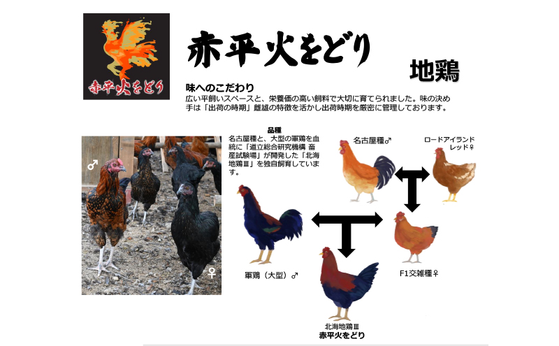 訳あり 国産 鶏肉 赤平火をどり 地鶏 ムネ モモ セット 計1.8kg 鶏 もも肉 むね肉 肉 精肉 国産鶏肉 鳥 鳥肉 業務用 人気 おすすめ 北海道 赤平