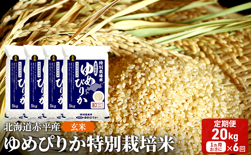 玄米 北海道赤平産 ゆめぴりか 20kg (5kg×4袋) 特別栽培米 【1ヵ月おきに6回お届け】 米 北海道 定期便 ふるさと納税