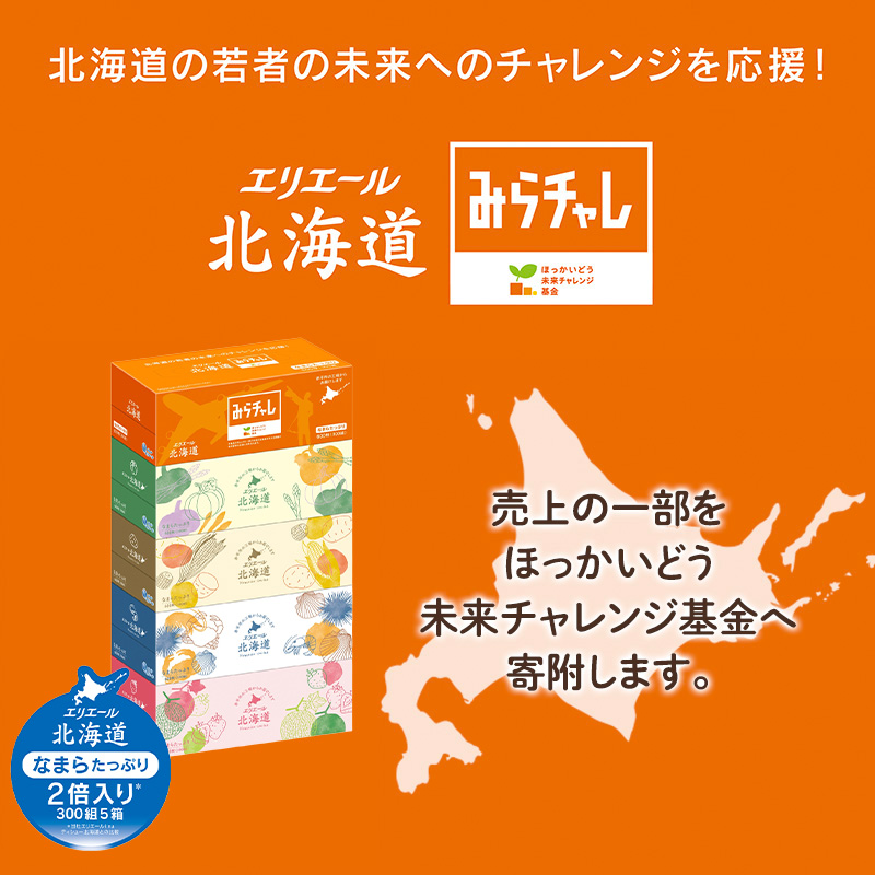 エリエール 北海道ティシュー 300組 5箱×1パック なまらたっぷり 大容量 最短 10日以内 最短配送 ボックスティシュー 箱ティッシュ まとめ買い ペーパー 紙 防災 常備品 消耗品 備蓄 日用品 生活必需品 北海道 赤平市