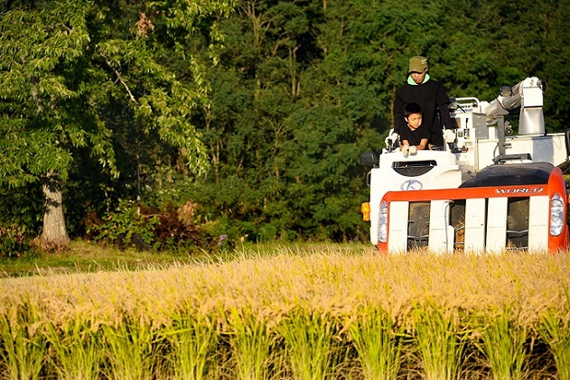 【6ヶ月定期便】北海道赤平産ゆめぴりか10kg 令和7年産 先行予約 先行受付 精米したて直送 5kg 2袋 米 白米 精米 定期便 北海道 赤平市