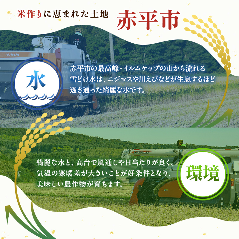 【6ヶ月定期便】北海道赤平産ゆめぴりか10kg 令和8年産 先行予約 先行受付 精米したて直送 5kg 2袋 米 白米 精米 定期便 北海道 赤平市