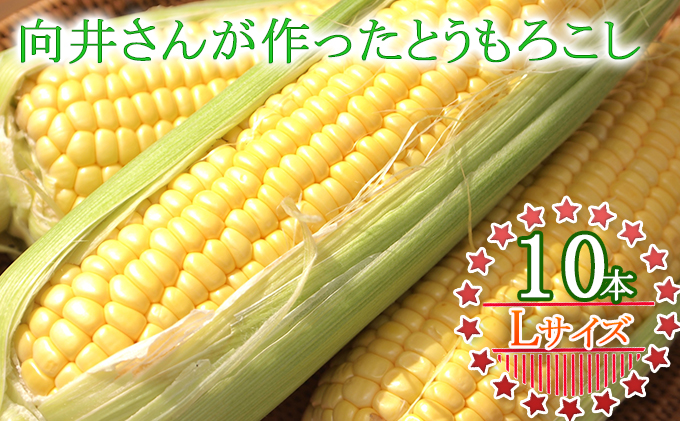 向井さんが作ったとうもろこし［Lサイズ10本］※8月下旬より順次出荷 野菜 