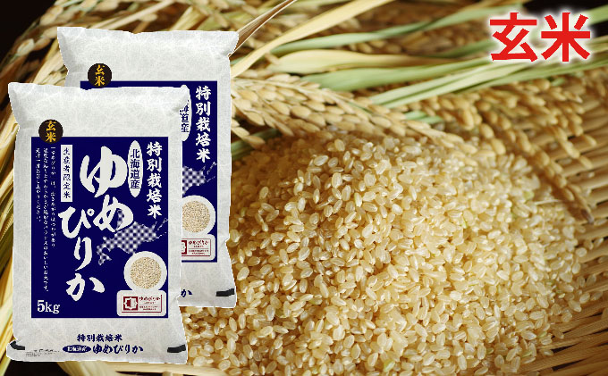 玄米　北海道赤平産ゆめぴりか特別栽培米5kg×2袋