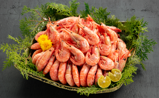 9-47 【訳有り】ボイル甘えび1.0kg