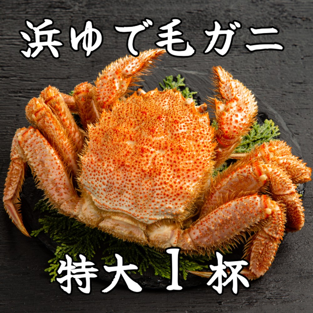 26-37 豬∵ーキ譏弱¢豬懊f縺ァ豈帙ぎ繝九迚ケ螟ァ1譚ッ
