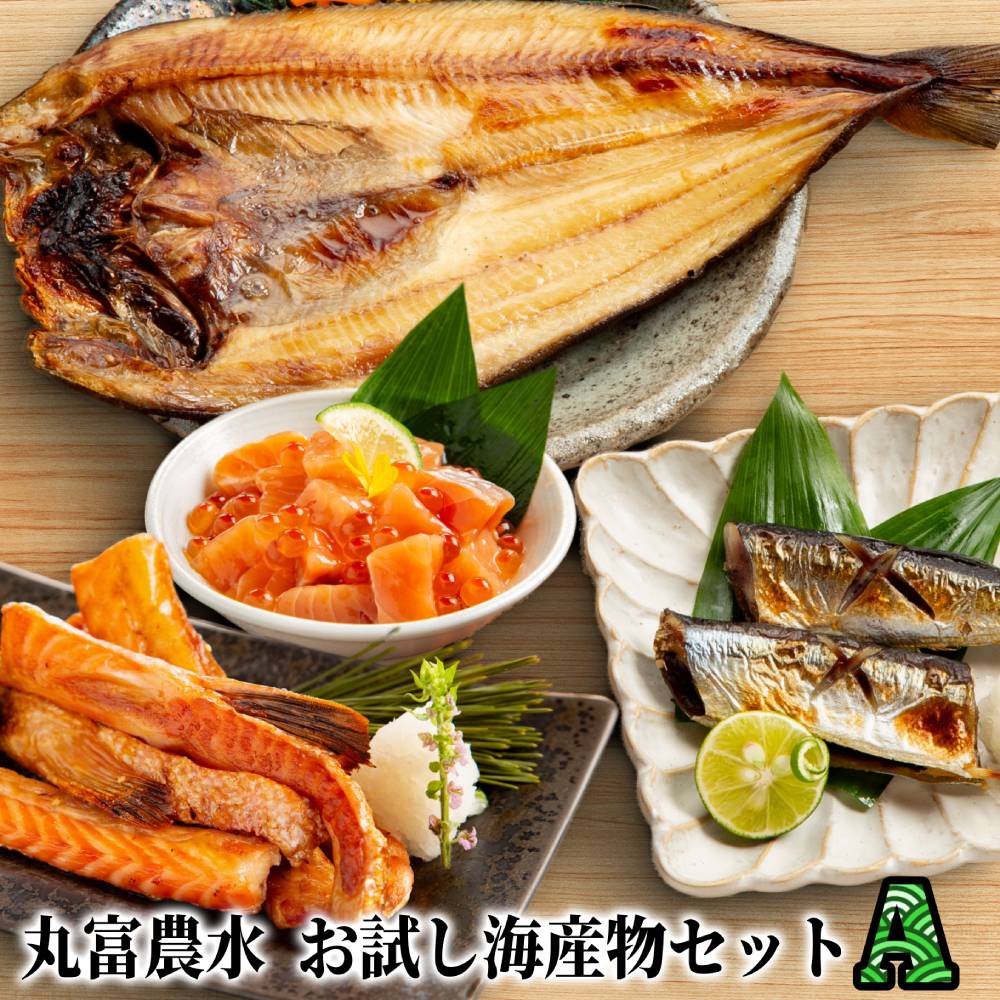 12-295 【年内配送12月15日入金まで】丸富農水お試し海産物セットＡ within2025