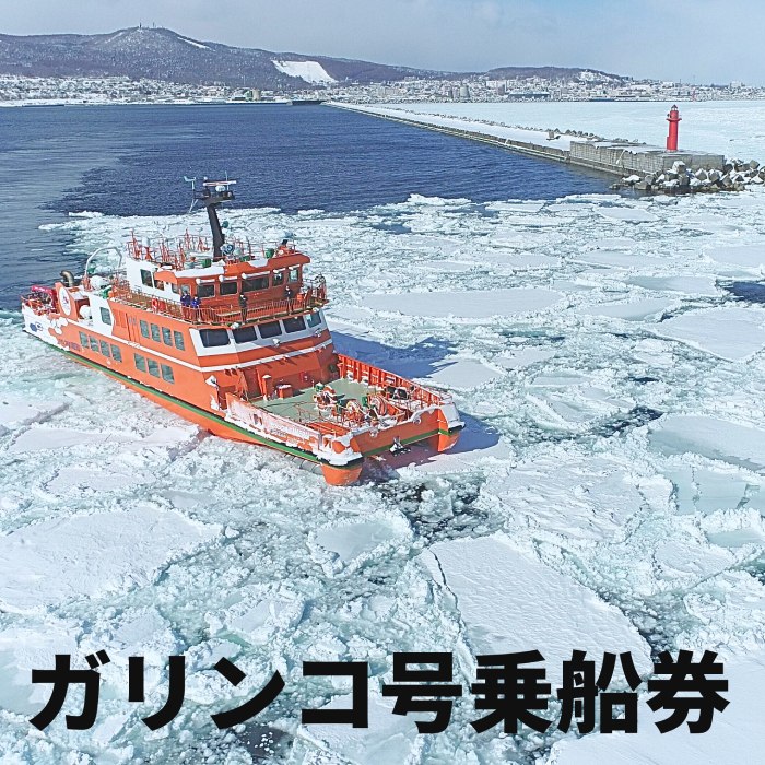 14-96 ガリンコ号3 IMERU 冬期運航 流氷クルーズ乗船券