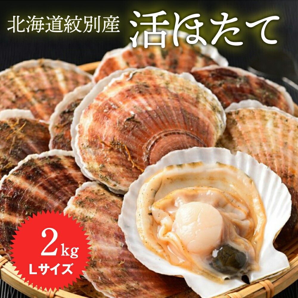 11-145 【年内配送12月15日入金まで】北海道紋別産 活ホタテ2kg(Lサイズ) within2025