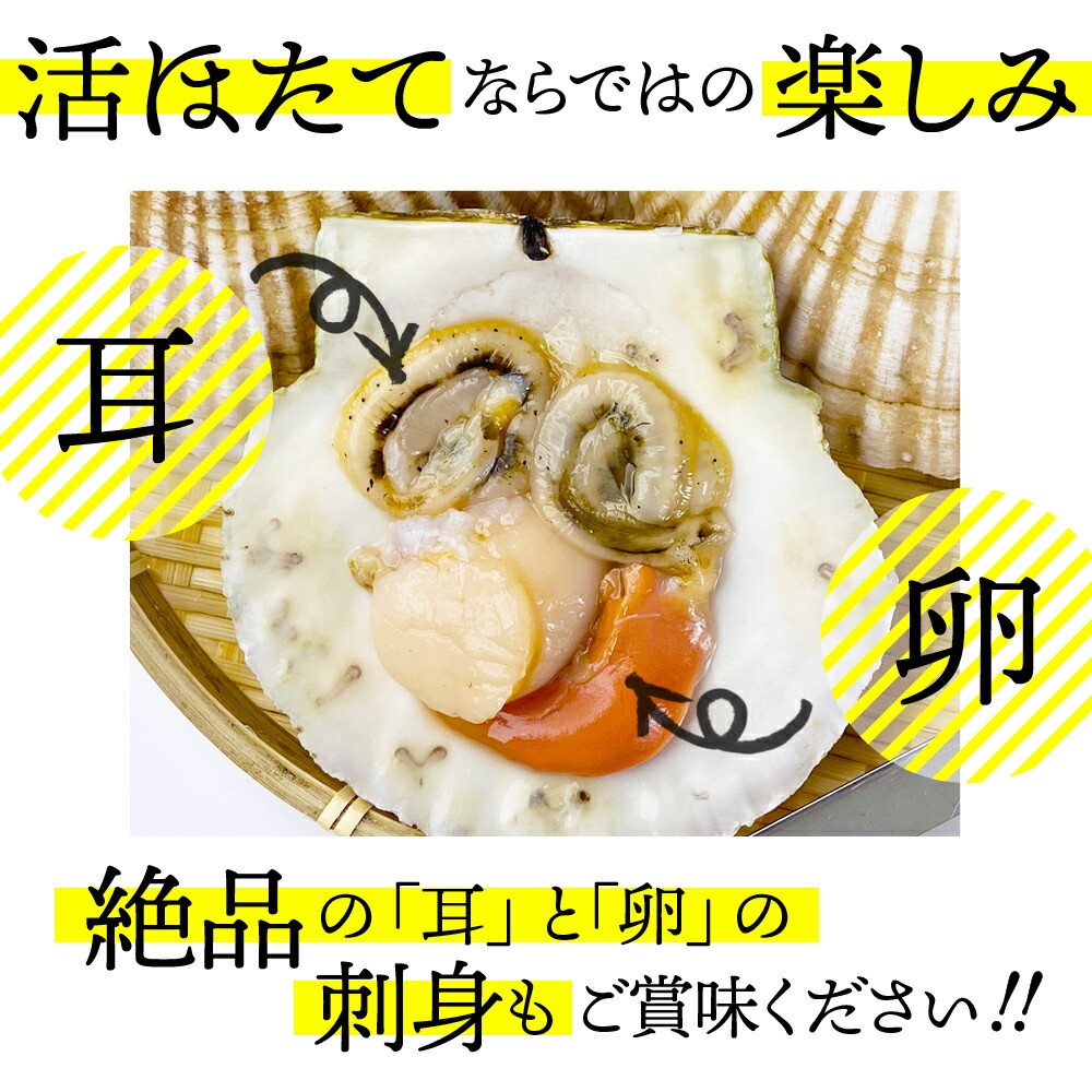 11-145 ã幎å
çºé12æ15æ¥å
¥éãŸã§ãåæµ·éçŽå¥ç£ 掻ãã¿ã2kg(Lãµã€ãº) within2025