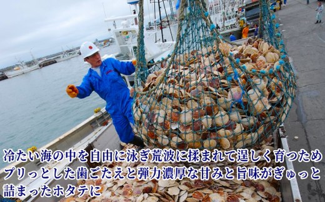 24-120 北海道オホーツク海産ホタテ玉冷バラエティサイズ(1kg)｜ 訳あり サイズ不揃い